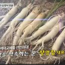 남사직로 이미지