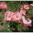 선현농장 이미지