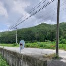 여주-0829 이미지