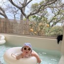 멍쿠실낭 이미지