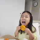 필돌농장 네이버블로그