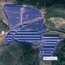 믿음태양광발전소 이미지