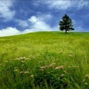 시인과촌장 이미지