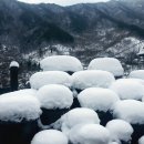 장성편백숲황토펜션 이미지