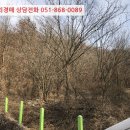 지방도905호선2 이미지