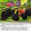 부강농장 이미지