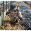 인태농장 이미지