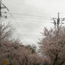 주산공원 이미지