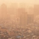 세광의원 이미지