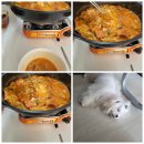 김동물병원 이미지