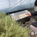 허브축산 이미지