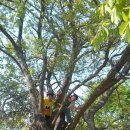 한천 농장 이미지