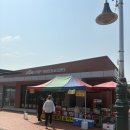 평림 | 광주 근교 피크닉 캠핑 가기 좋은 장미공원