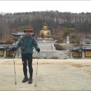 대우아파트 삼거리(아파트 입구) 이미지