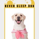 네버슬립독 이미지