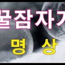 까르페디엠-타로카페
