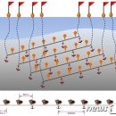 자연알로(보령) 이미지