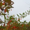 탑리농장 이미지