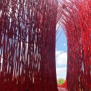 별마로 농장 이미지