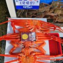싱싱회 대게왕국 이미지