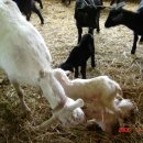 산우리농장 이미지