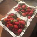 충무로20번길 이미지