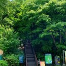 5월 21일(일) 1시 서울대공원 산림욕장길 트레킹 [대공원역] 이미지
