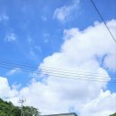 남해 36.5 이미지