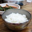 양동손칼국수 이미지