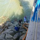 자원부화장 이미지