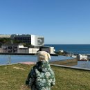 베이비샵 이미지