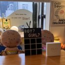 별다방 | [서울/강남] 강남 파티룸 우주공장 별다방 내돈내산 이용 후기 (젠더리빌 파티)