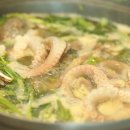 국수나무화성