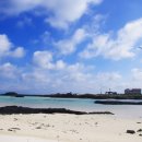 경소하라하우스 이미지