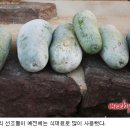 330장금이 이미지