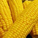 향원농장 이미지