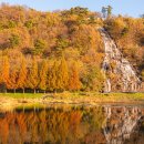 영천 과전동 일본식 가옥 | 새해 복 많이 받으세요 2025 협이투어 여행일지