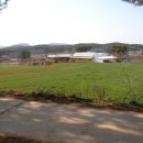 마금목장 이미지