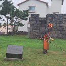 말등포연대 이미지