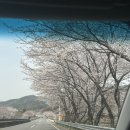 [강진] 강진 맛집, 강진 궁전 한우촌