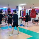 피스트복싱클럽 이미지