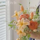 파쳄플라워