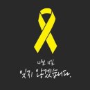 오늘의세탁 이미지