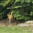 헬로소아청소년과의원 이미지