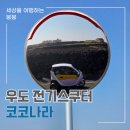 붕붕나라 | [솔직후기] 우도 전기스쿠터는 코코나라에서! (우도가볼만한곳 우도배시간 우도여행 우도 전기차 스쿠터...