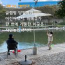 세종 근교 글램핑 당일치기, 아이랑 낚시, 바베큐까지 다양한 체험 가능 | 자연농원낚시터 추천 후기