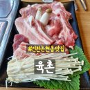 육촌 | 인천논현동맛집 육촌 방문 후기 - 논현동 모임하기 좋은 장소