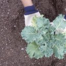 기생한의원 이미지