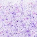 이강욱 카카오 검색결과