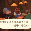호롤로